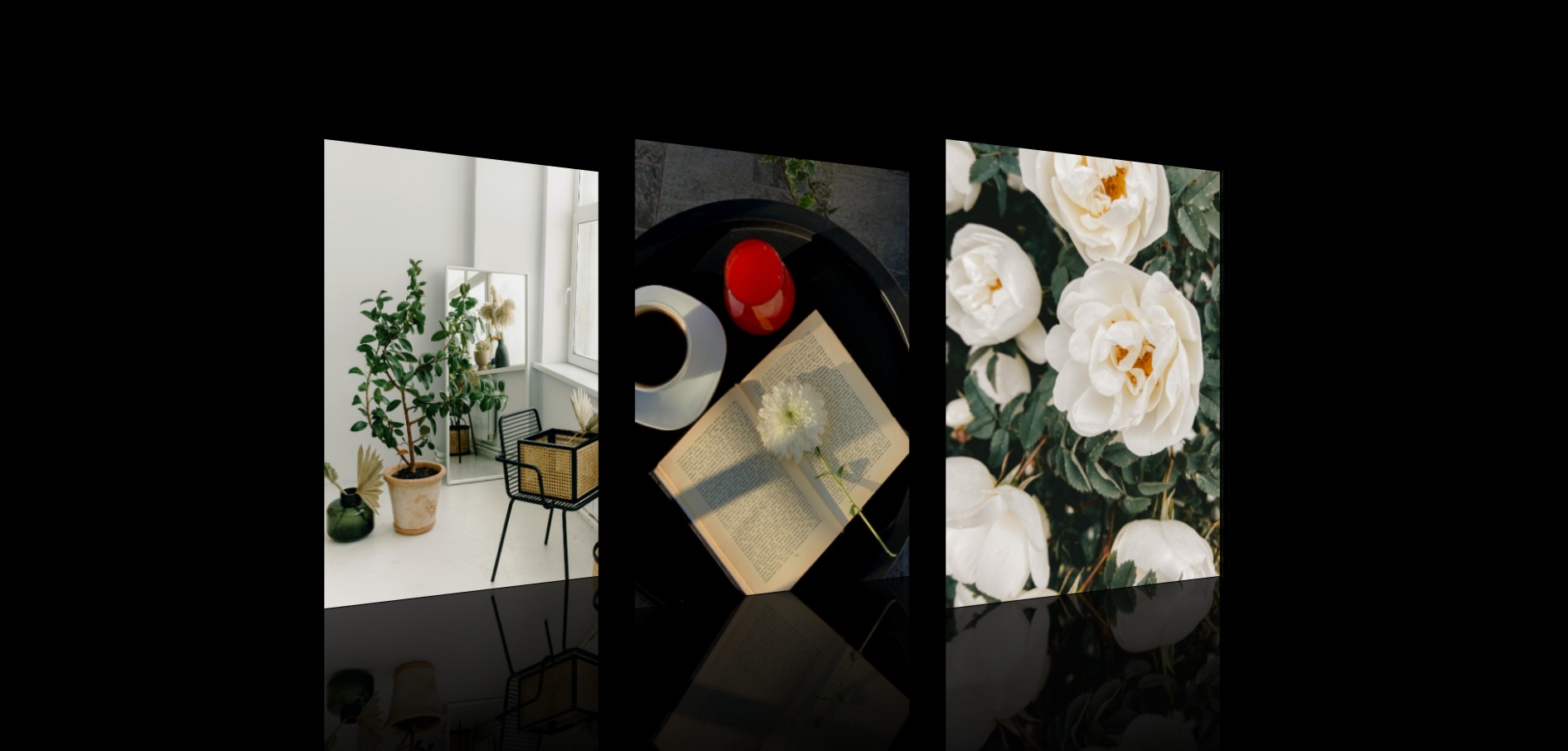 3d turning and mirroring pictures